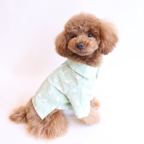 即納★【サンプルSALE】Duckシャツ（黄緑）