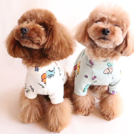 即納【サンプルSALE】恐竜Tシャツ（アイボリー）