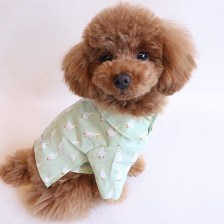 即納★【サンプルSALE】Duckシャツ（黄緑）