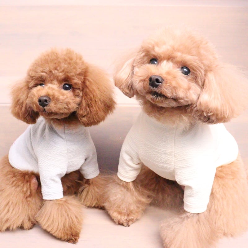 ⑮確認用ページ　リブ　アラン風ニット　犬服ハンドメイド ⑮確認用ページ リブ アラン風ニット 犬服ハンドメイド ⑮確認用