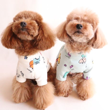 即納【サンプルSALE】恐竜Tシャツ（ミントグリーン）