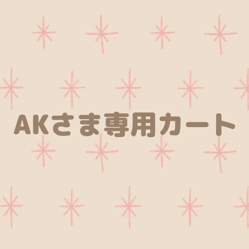 AK様 専用 akさま 専用ページ