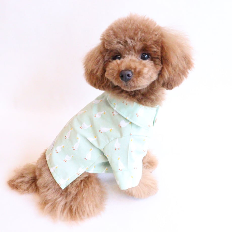 65f8147e935325105f43f92b