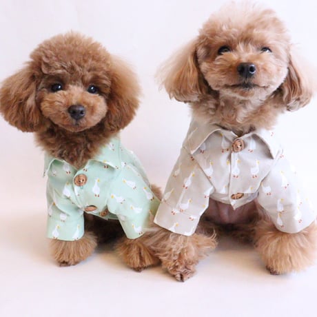 即納★【サンプルSALE】Duckシャツ（黄緑）