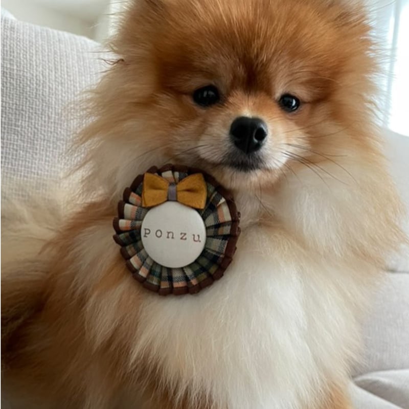 ファミリア❣️激レア リアちゃん りんご ブランケット 激レア