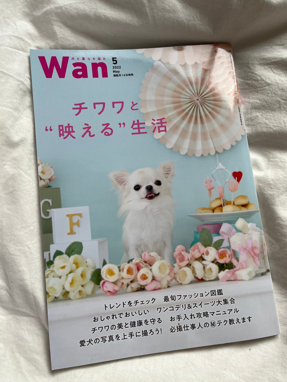 株式会社緑書房さまの雑誌Wanに掲載していただきました♡ | tinny's shop