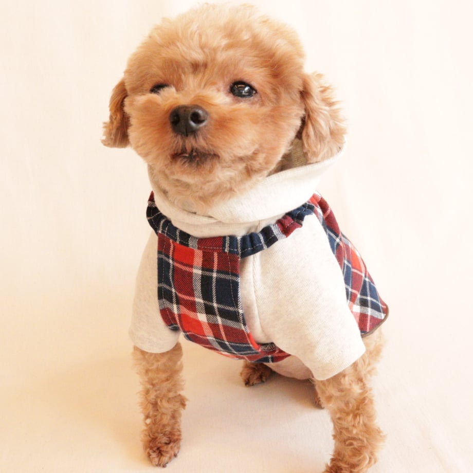 690d6e7382808c346704dd2a