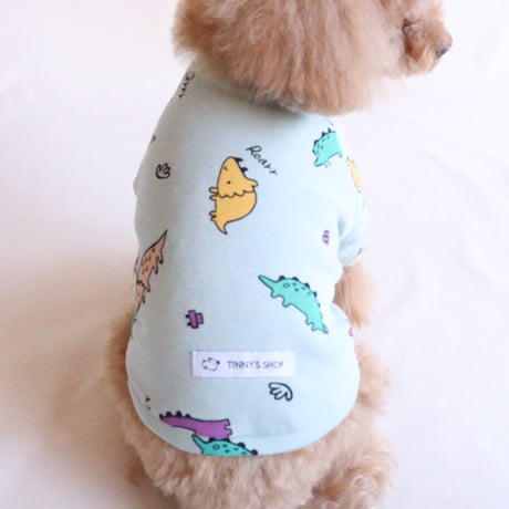 即納【サンプルSALE】恐竜Tシャツ（ミントグリーン）