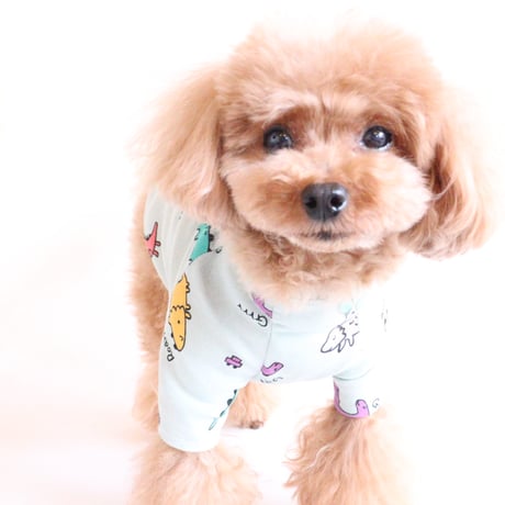即納【サンプルSALE】恐竜Tシャツ（ミントグリーン）