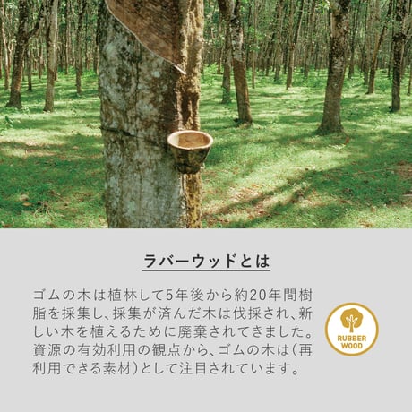 ラバーウッドフォトスタンド 100個