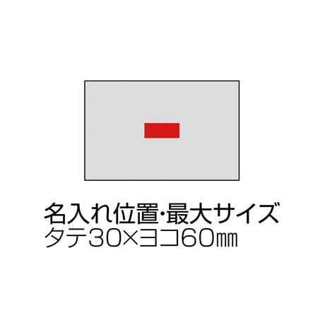 プラチナカラー・ハンドタオル2Pセット
