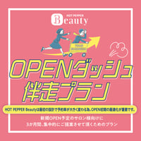 OPENダッシュ伴走プラン