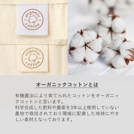 オーガニックコットンバッグ（M）100個