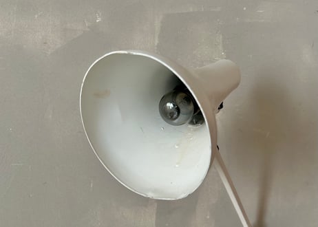 ✶Anglepoise アングルポイズ [APEX90] ホワイト　S-2402-12