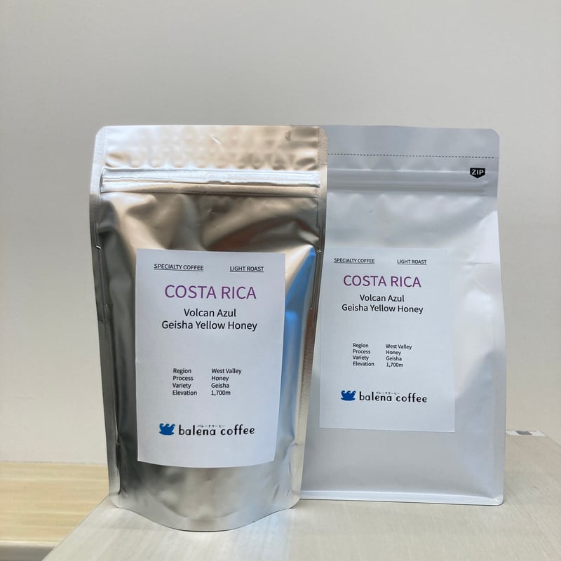 さかな貯金　ブラジル5kg コスタリカ5kg COSTA RICA Geisha [コスタリカ ゲイシャ] LIGHT | balena c