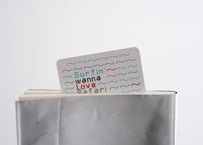 UNBOUND BOOK #2  Surfin’ Wanna Love Safari / Masato Samata