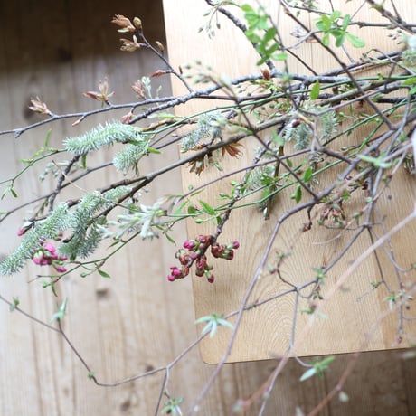 【3ヶ月コース】野山の花のお届け便　4月スタート及び9月スタート [送料1500円×3回分込み]