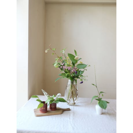 【3ヶ月コース】野山の花のお届け便　4月スタート及び9月スタート [送料1500円×3回分込み]