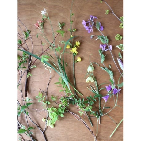 【3ヶ月コース】野山の花のお届け便　4月スタート及び9月スタート [送料1500円×3回分込み]