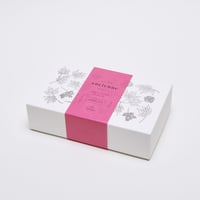 ancienne ハーブティー ［ANGELICA］／12pack BOX