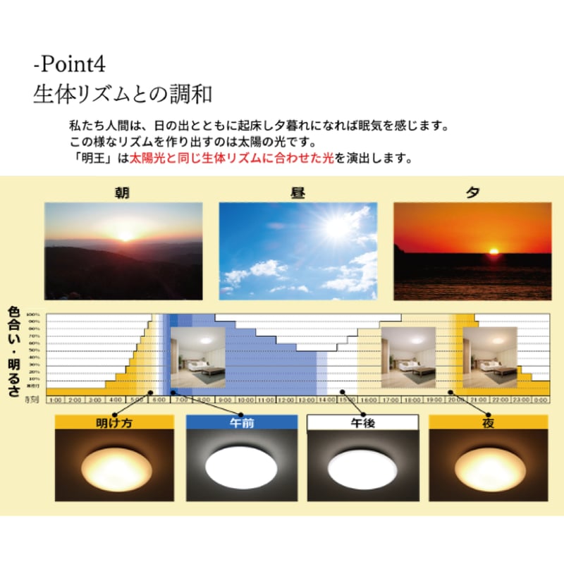 予約販売】陽光LED照明 家庭用シーリングライト［1600K］(グリーン