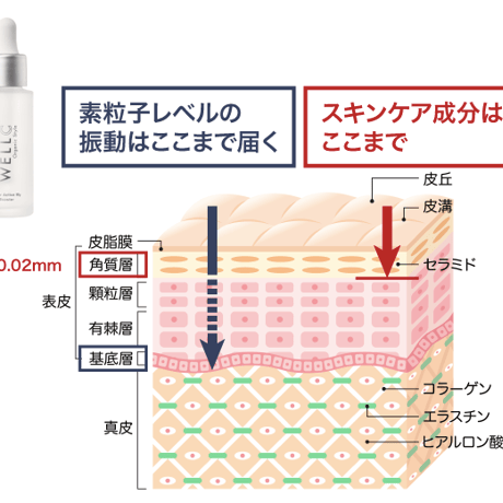 【周波数に着目した最先端美容】洗顔後の5滴で肌が変わる 発酵美容液 インナーアクティブマイブースター(深)