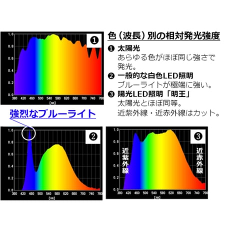 【予約販売】陽光LED照明 家庭用シーリングライト［1600K］(グリーンユーティリティー)