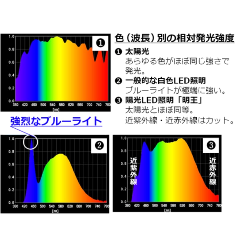 予約販売】陽光LED照明 家庭用シーリングライト［1600K］(グリーン