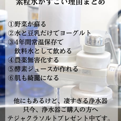 「素粒水」抗酸化力のある水！を作る　浴室シャワー浄活水器　ウオーターセラピイー☆お塩プレゼント☆マイナスイオンの癒しを☆ペットボトルに汲み置きして災害時の常備水にも！
