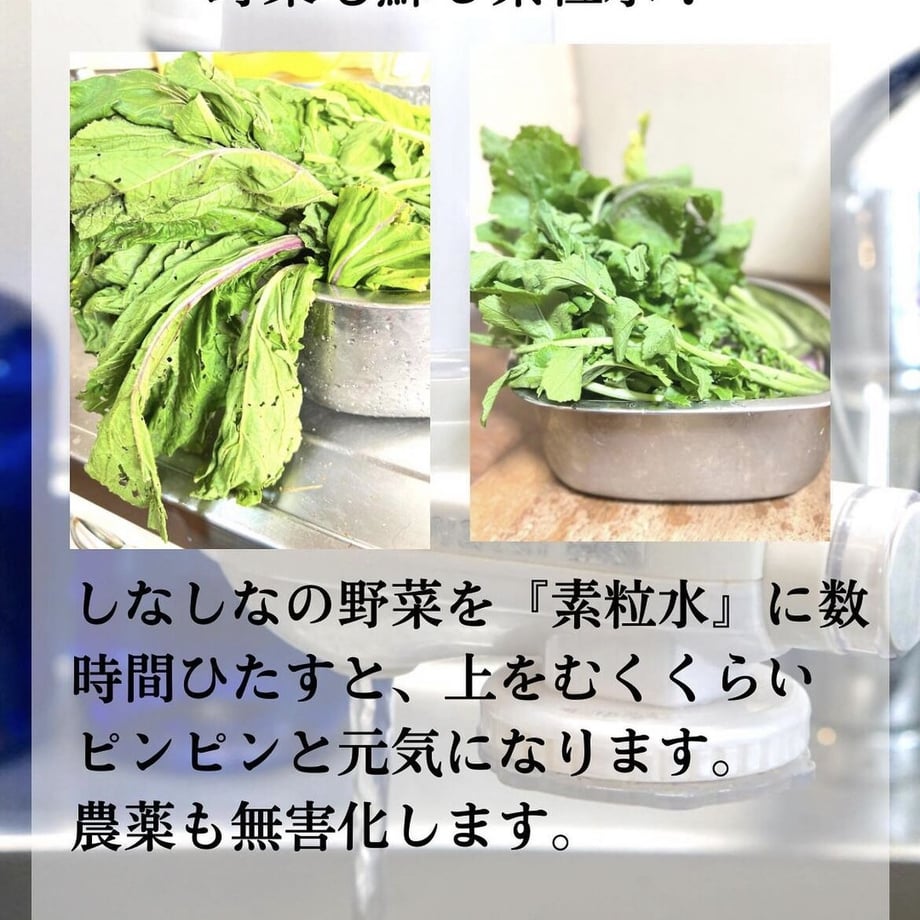 63f0274a39da5f6b25444060