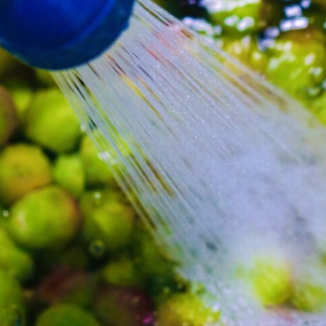 「素粒水」抗酸化力のある水！を作る　浴室シャワー浄活水器　ウオーターセラピイー☆お塩プレゼント☆マイナスイオンの癒しを☆ペットボトルに汲み置きして災害時の常備水にも！