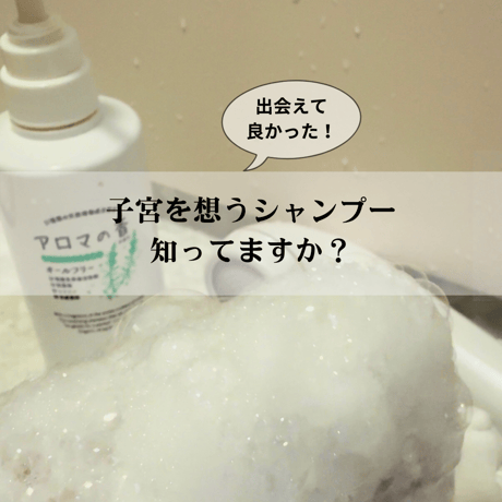 安心シャンプー　アロマの香り　(¥3,080/300ml) (¥7,700/900ml)