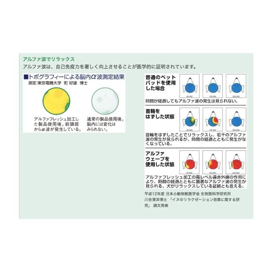601cbe126e84d54a77435824