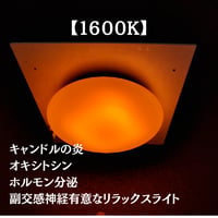 【予約販売】陽光LED照明 家庭用シーリングライト［1600K］(グリーンユーティリティー)