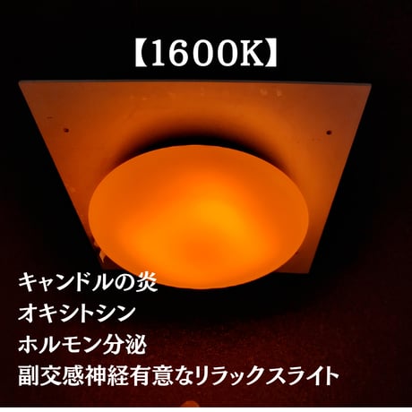 【予約販売】陽光LED照明 家庭用シーリングライト［1600K］(グリーンユーティリティー)