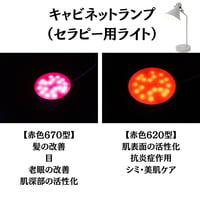 セラピー用ランプ【赤620(皮膚)】【赤670(眼と髪の毛)】【UVB300（ビタミンD)】【NIR850型】【NIR940型】（ミトコンドリア活性化・学力向上）セラピー用ライト