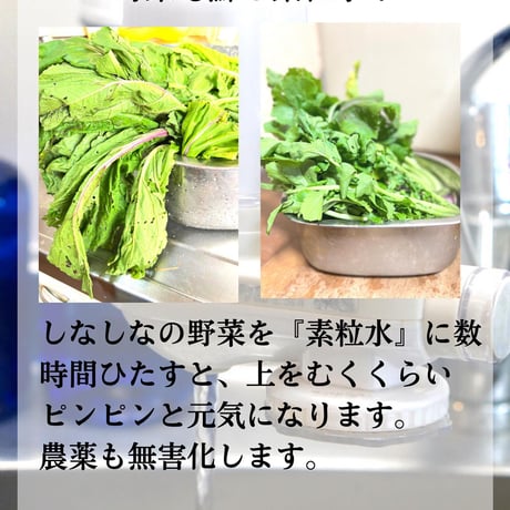 「素粒水」抗酸化力のある水！を作る　浴室シャワー浄活水器　ウオーターセラピイー☆お塩プレゼント☆マイナスイオンの癒しを☆ペットボトルに汲み置きして災害時の常備水にも！