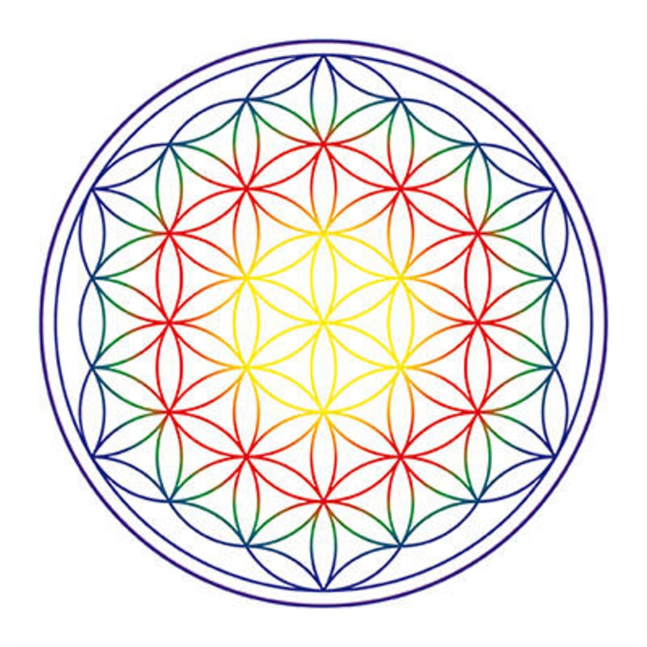 60a9b1e40e2403468289e04e