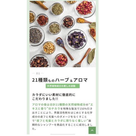 安心シャンプー　アロマの香り　(¥3,080/300ml) (¥7,700/900ml)