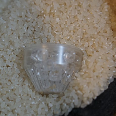 「素粒水」抗酸化力のある水！を作る　浴室シャワー浄活水器　ウオーターセラピイー☆お塩プレゼント☆マイナスイオンの癒しを☆ペットボトルに汲み置きして災害時の常備水にも！