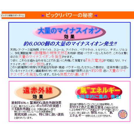 『ビックリ感動サポーター』☆足首用2本セット