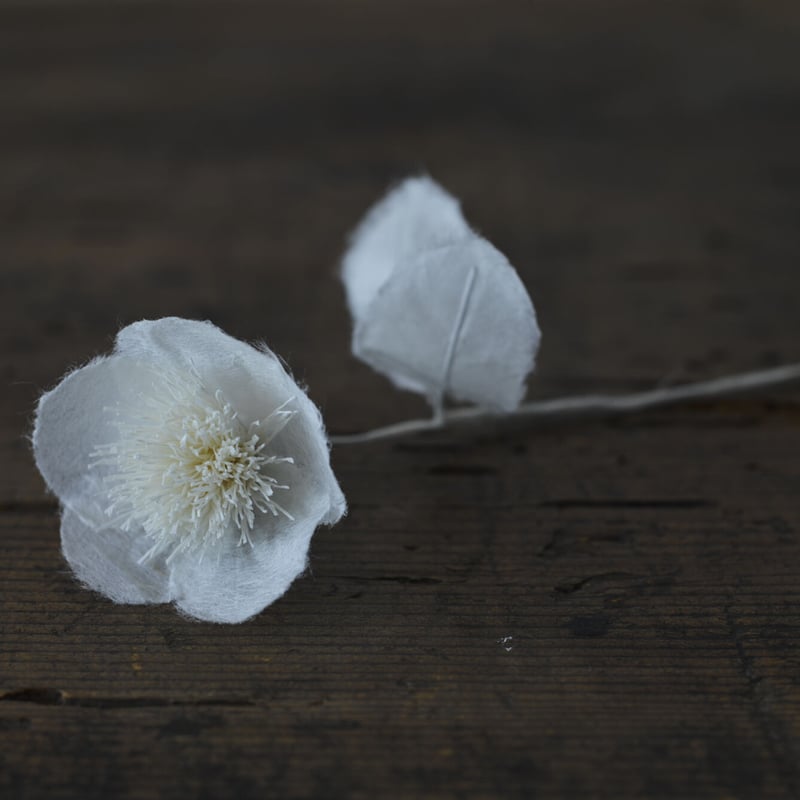 花の間 瑞花 set(FR-01) ①桜 ②椿 ③孔雀草 | ADVAITA STORE