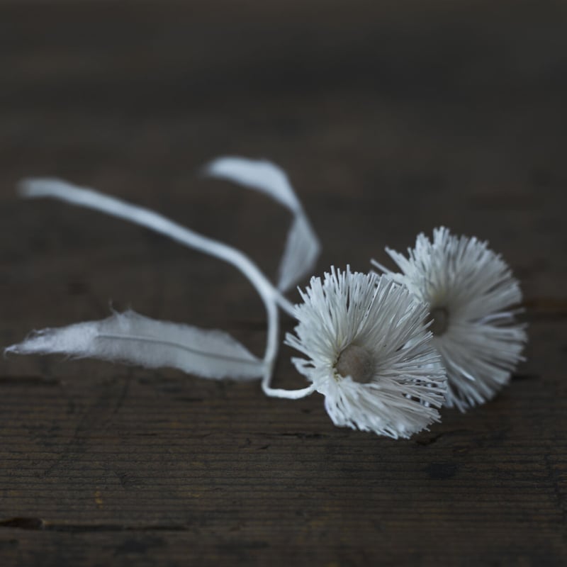 花の間 瑞花 set(FR-01) ①桜 ②椿 ③孔雀草 | ADVAITA STORE