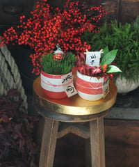 （B)お正月アレンジ　紅白松・南天飾り　①＜紅白お対セット＞