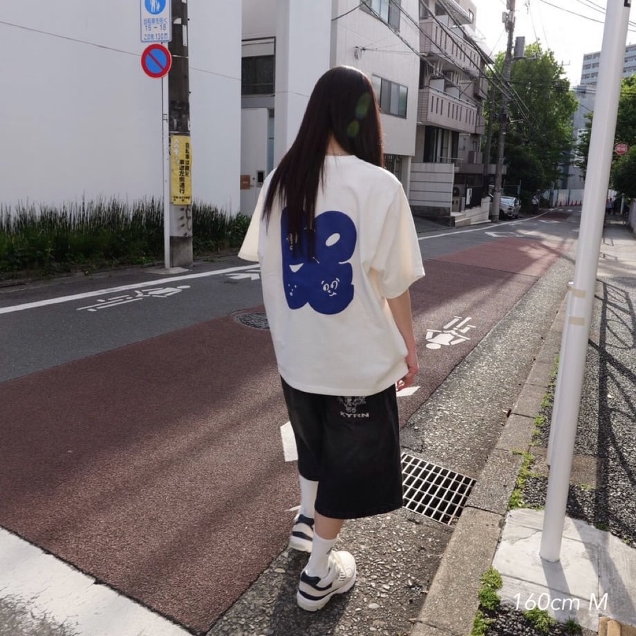 6a02ad375804476a2f29f355
