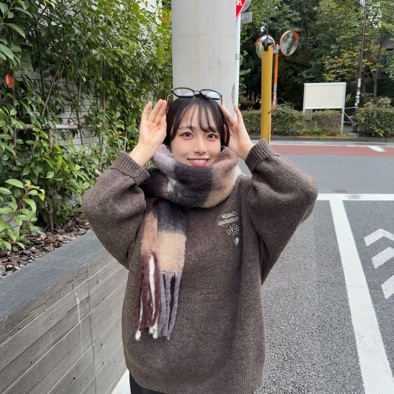 kaoyorinakami カオヨリナカミ check scarf ブラウン check scarf | kaoyorinakami