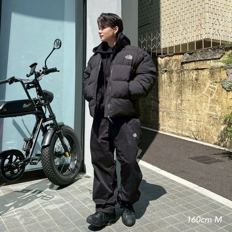 bear daily fit pants