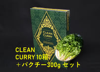 CLEAN CURRY 10箱 ＋パクチー300gセット