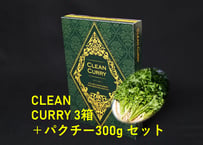CLEAN CURRY 3箱 ＋パクチー300gセット