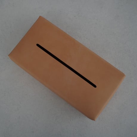 Tissue case